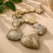 Fossil Coral Heart - 1.75 inch
