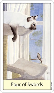 Cat's Eye Tarot