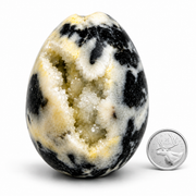 Dendritic Agate with Druse Egg - 2.25-3 inch