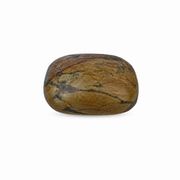 Dolomite Palm Stone - 2.25-2.5 inch