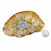 Natural Thick Agate Slice - 4.5-7.0 inch