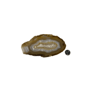 Natural Extra Thick Agate Slice - 4.5-8.75 inch