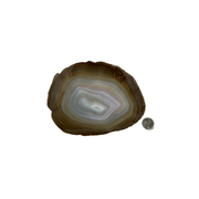 Natural Extra Thick Agate Slice - 4.5-8.75 inch