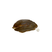 Natural Extra Thick Agate Slice - 4.5-8.75 inch