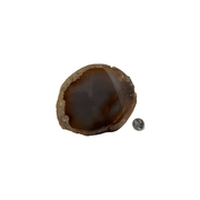 Natural Extra Thick Agate Slice - 4.5-8.75 inch