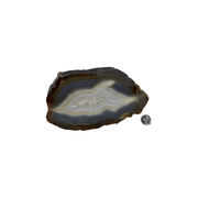Natural Extra Thick Agate Slice - 4.5-8.75 inch