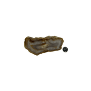Natural Extra Thick Agate Slice - 4.5-8.75 inch