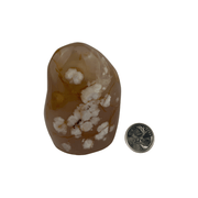 Cherry Blossom Agate Freeform - 2.5-4.25 inch