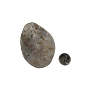 Cherry Blossom Agate Freeform - 2.5-4.25 inch