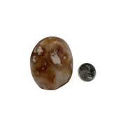 Cherry Blossom Agate Freeform - 2.5-4.25 inch