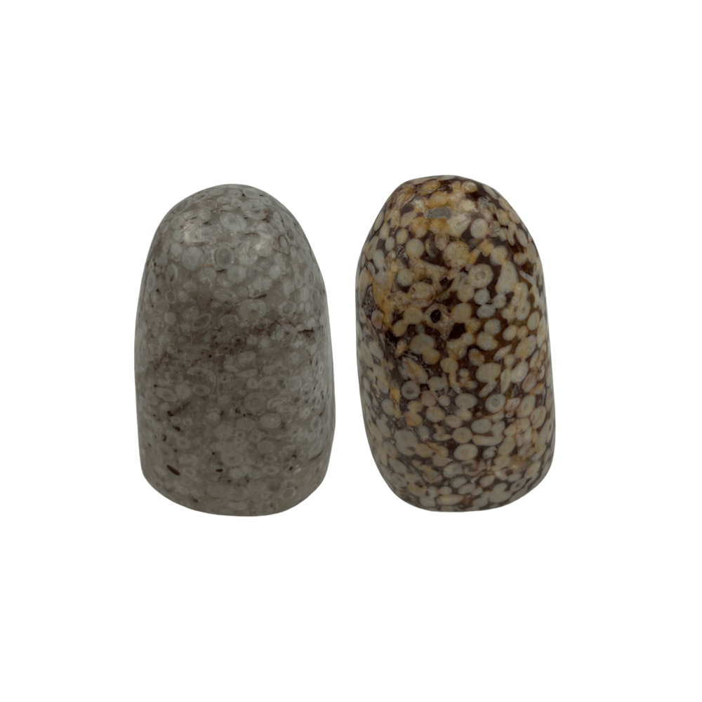 White Leopard Skin Jasper Freeform - 2.5-2.75 inch