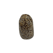 White Leopard Skin Jasper Freeform - 2.5-2.75 inch
