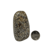 White Leopard Skin Jasper Freeform - 2.5-2.75 inch