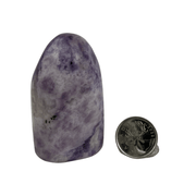 Lepidolite Freeform - 2.5-2.75 inch