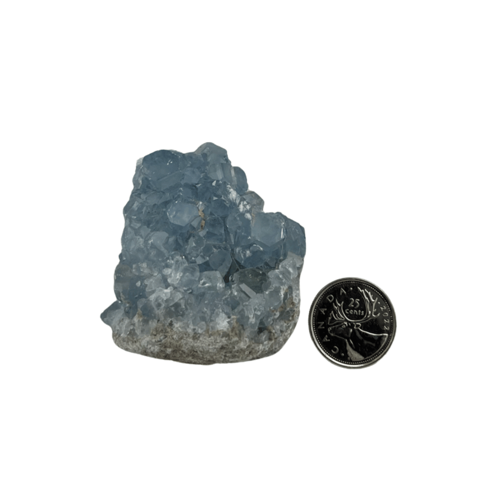 Celestite Cluster - 2.0-3.0 inch