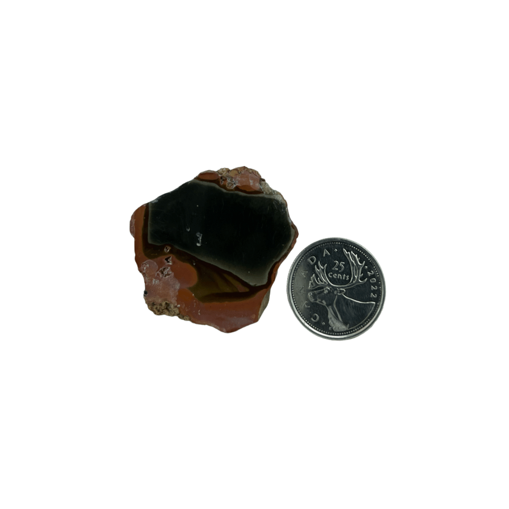 Polychrome Jasper One Side Polished Freeform - 1.5-2.25 inch
