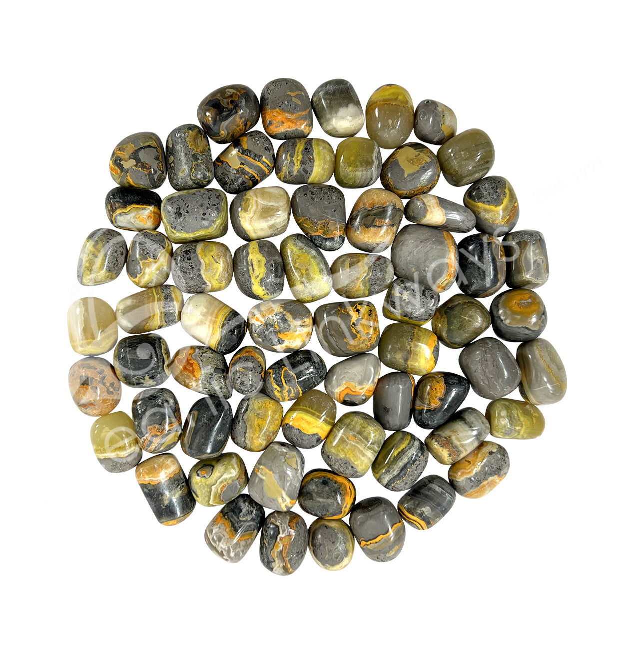 Bumblebee Jasper Tumbled Stone - 20-35 mm
