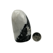 Tiger Calcite Freeform - 2.5-3.0 inch