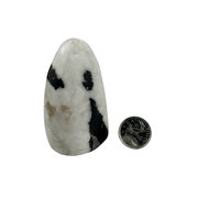 Tiger Calcite Freeform - 2.5-3.0 inch