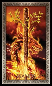 Ciro Marchetti's Tarot Grand Luxe Cards