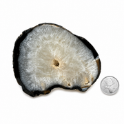 Natural Thick Agate Slice - 4.5-7.0 inch