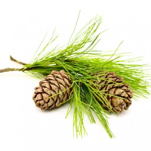 Goloka Cedarwood Natural & Undiluted Essential Oil (10 ml)