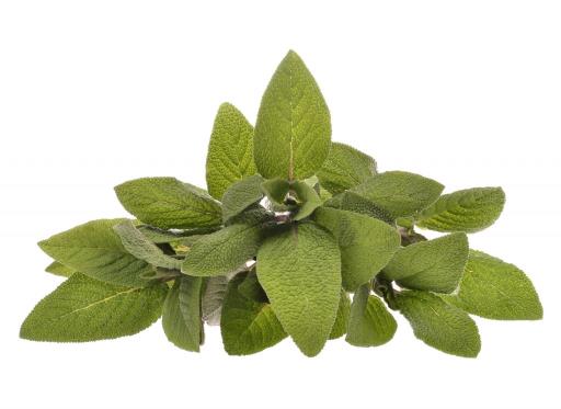 Goloka Sage Natural & Undiluted Essential Oil (10 ml)