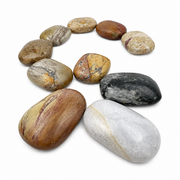 Dolomite Palm Stone - 2.25-2.5 inch