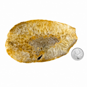 Natural Thick Agate Slice - 4.5-7.0 inch