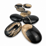 Petrified Wood Palm Stone - 2.5-3.0 inch