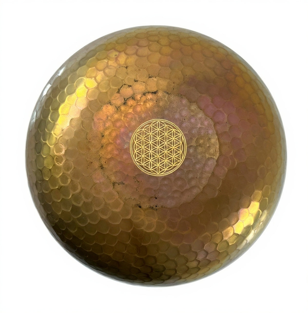 30416044-49 (2) (1)