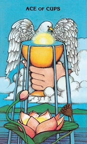 Morgan-Greer Tarot in a Tin