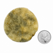 Dendritic Agate with Angel Quartz Sphere - 1.75-2.5 inch