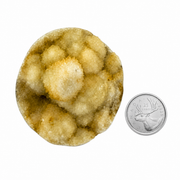 Dendritic Agate with Angel Quartz Sphere - 1.75-2.5 inch