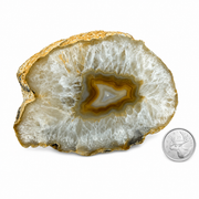 Natural Thick Agate Slice - 4.5-7.0 inch
