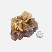 Amethyst with Phantom Quartz & Black Tourmaline Specimen - 2.25-4.5 inch