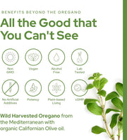 Plant of Life Wild Oregano Oil (1 oz)