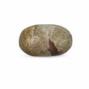 Dolomite Palm Stone - 2.25-2.5 inch