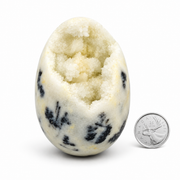 Dendritic Agate with Druse Egg - 2.25-3 inch