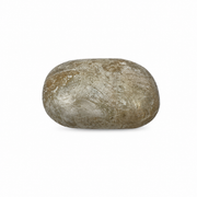 Dolomite Palm Stone - 2.25-2.5 inch