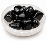 Shungite Tumbled Stone - 20-30 mm