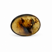 Amber Worry Stone - 1.75 inch