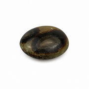 Septarian Palm Stone - 1.75-2.25 inch