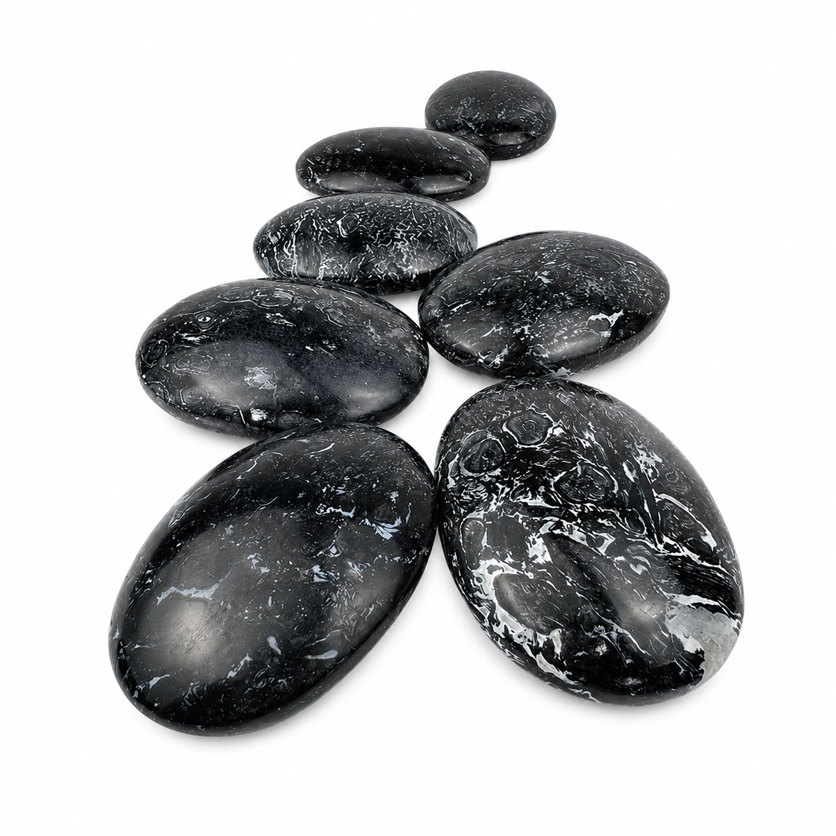 Crinoid Fossil Palm Stone - 2.75-3.0 inch