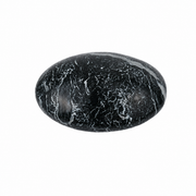 Crinoid Fossil Palm Stone - 2.75-3.0 inch