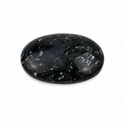 Crinoid Fossil Palm Stone - 2.75-3.0 inch