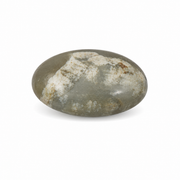 Dendritic Opal Palm Stone - 2.75-3.0 inch
