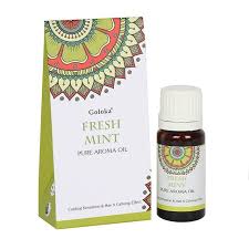 Goloka Fresh Mint Pure Aroma Oil (10 ml)