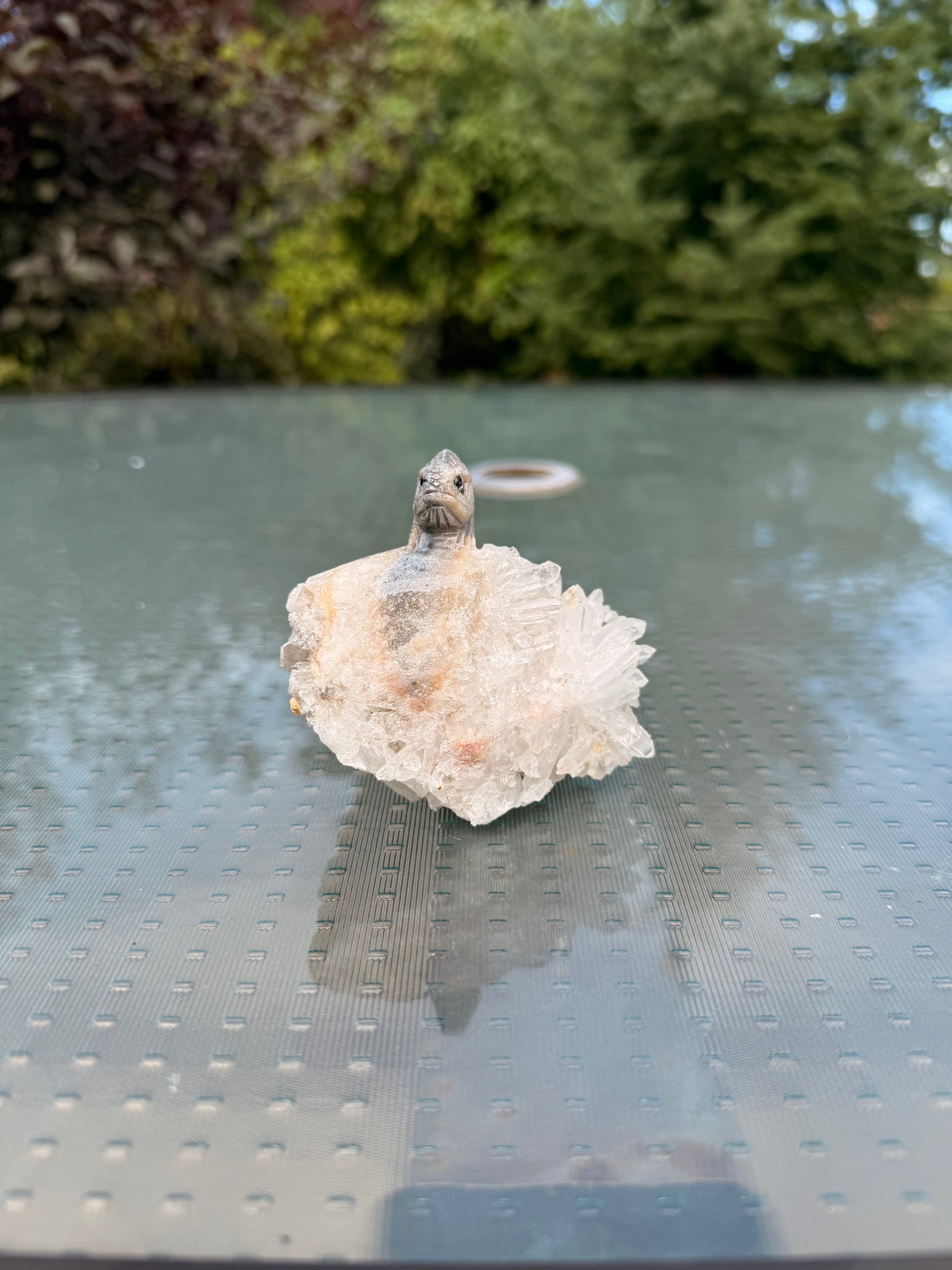 crystal cluster lizard