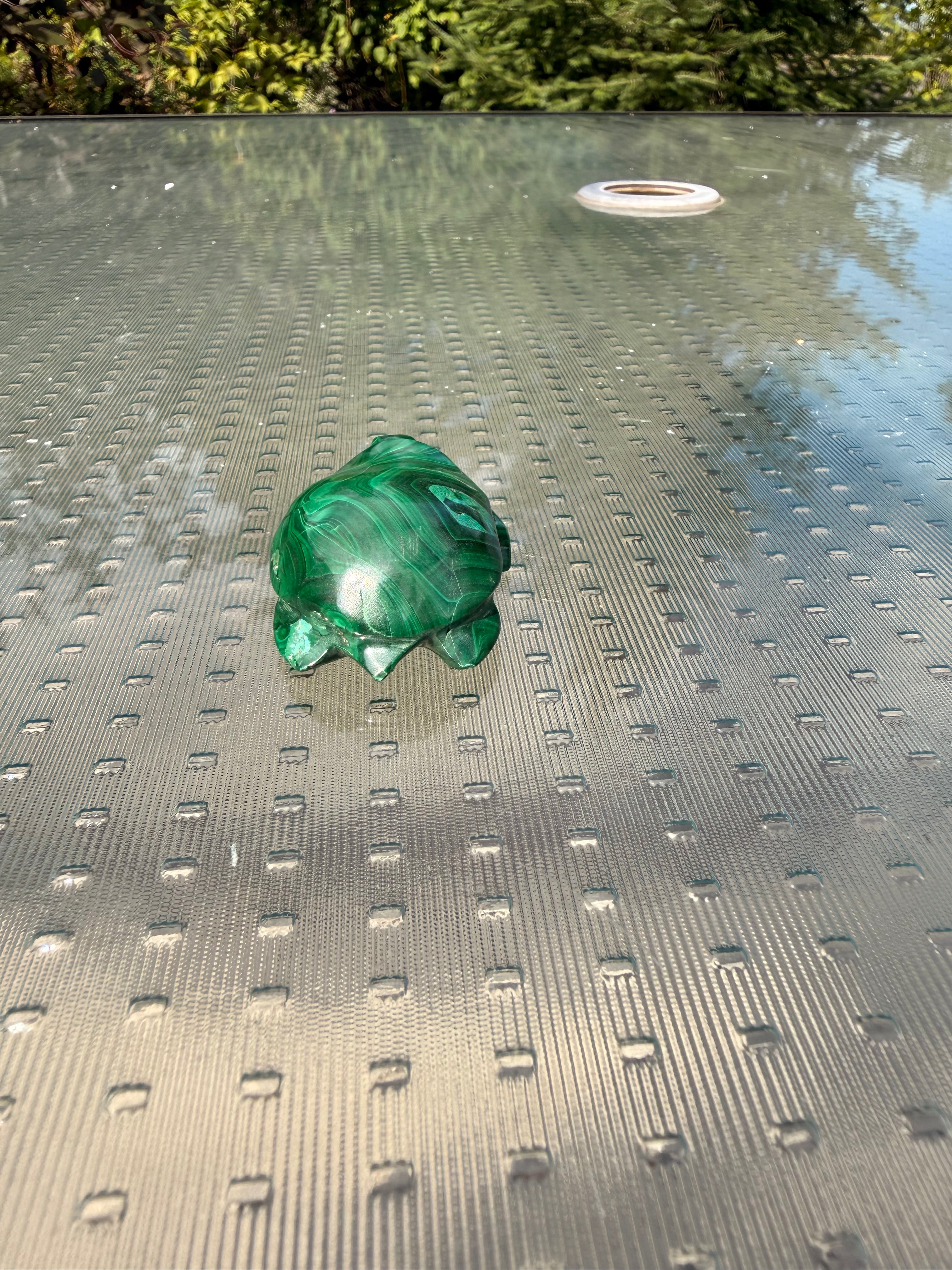 Malachite Turtle